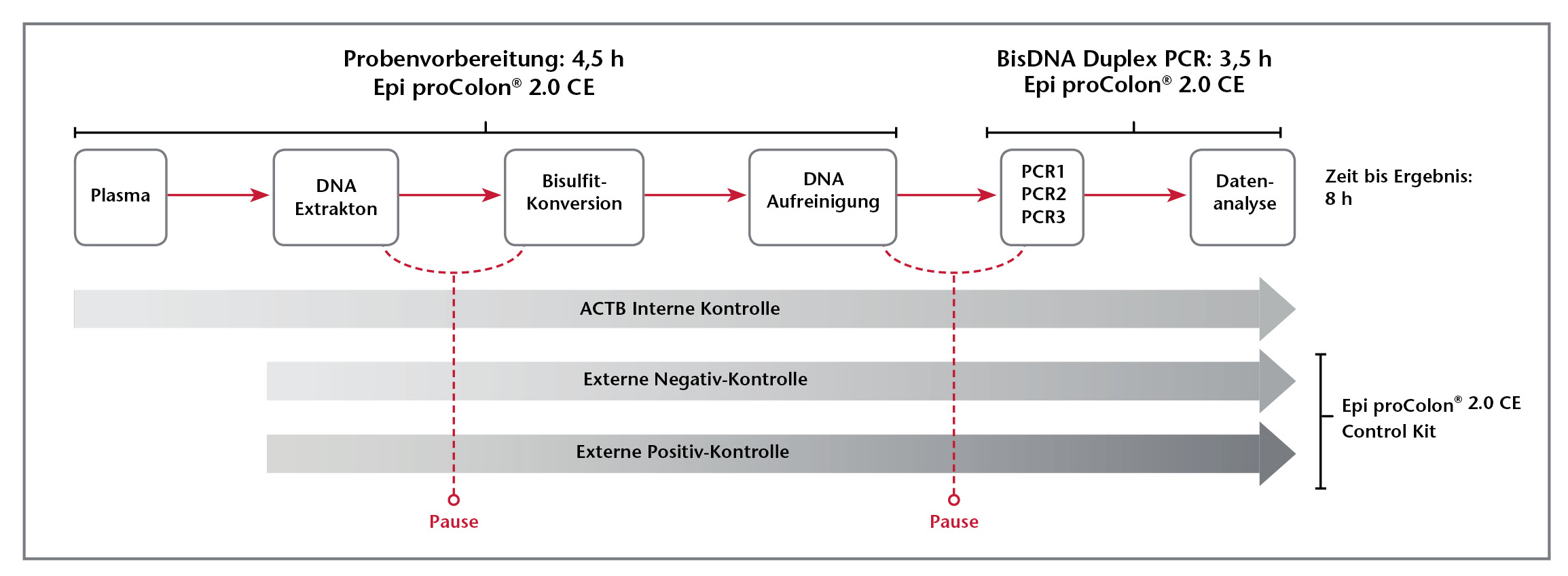 PausePointChart-German